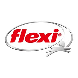 flexi logo